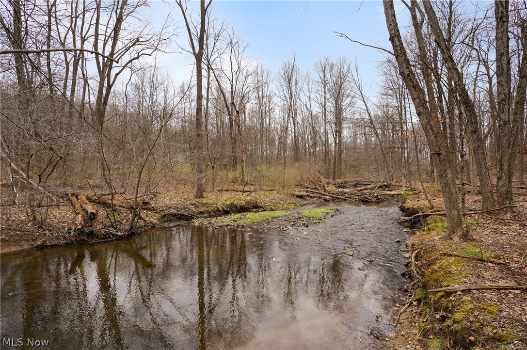 5060 Leffingwell Road Canfield, OH 44406 - Photo 35 of 45 Beautiful Creek
