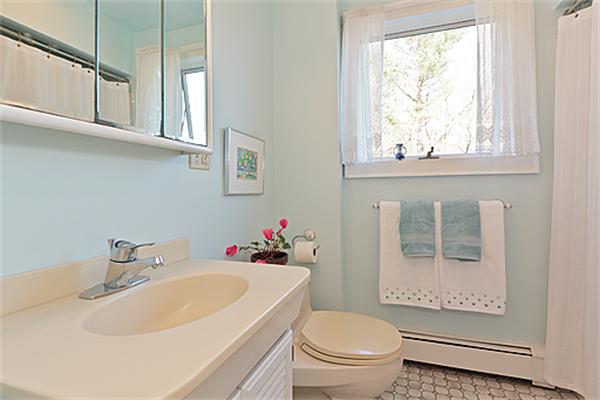 127 Follen Road Lexington, MA 02421 - Photo 14 of 17 a bathroom with a sink mirror toilet and next to a window