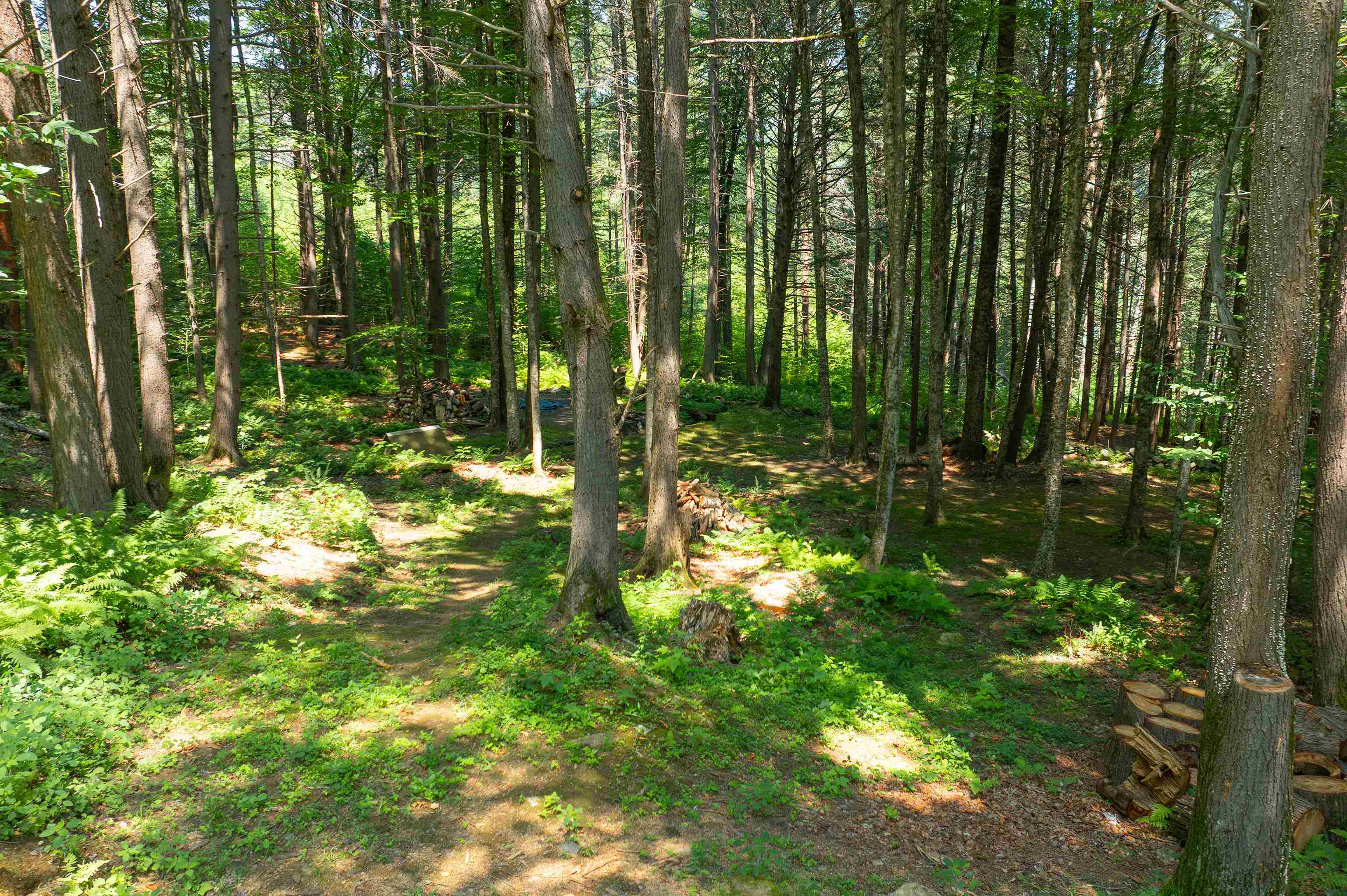 18 Hemlock Hill Road Newfane, VT 05345 - Photo 33 of 40