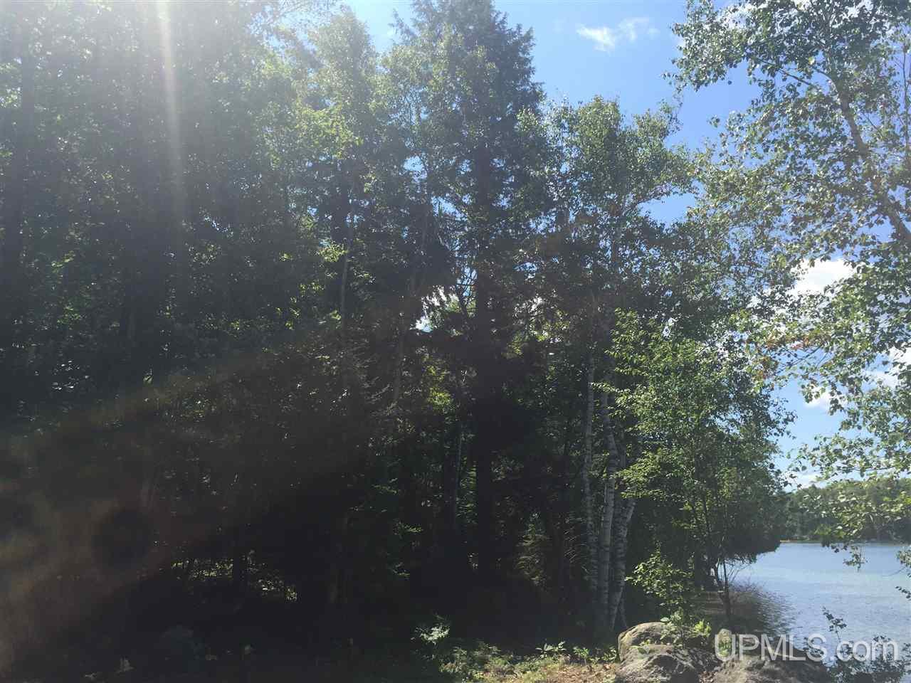 Tbd Elm Road, Unit PARCEL 2 Republic, MI 49879 - Photo 6 of 14 Gallery Image 6