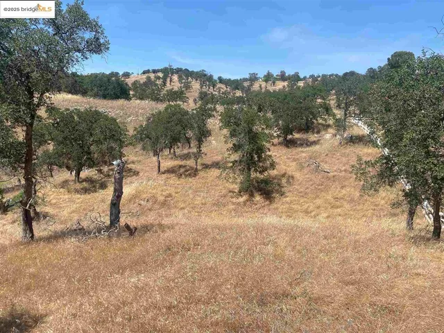 a view of outdoor space and trees
