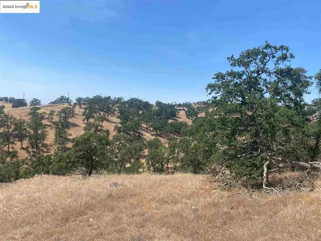 a view of a dry yard with trees in the background