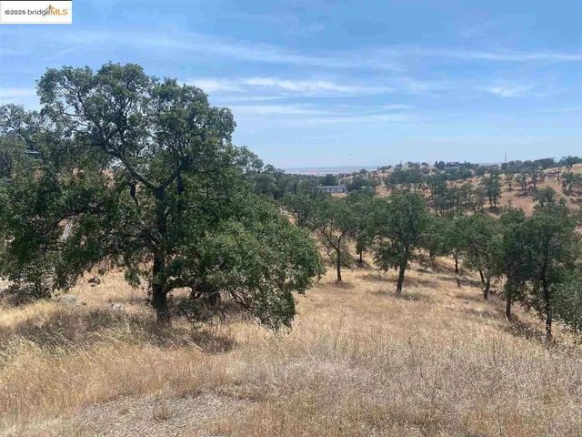 a view of outdoor space with green space