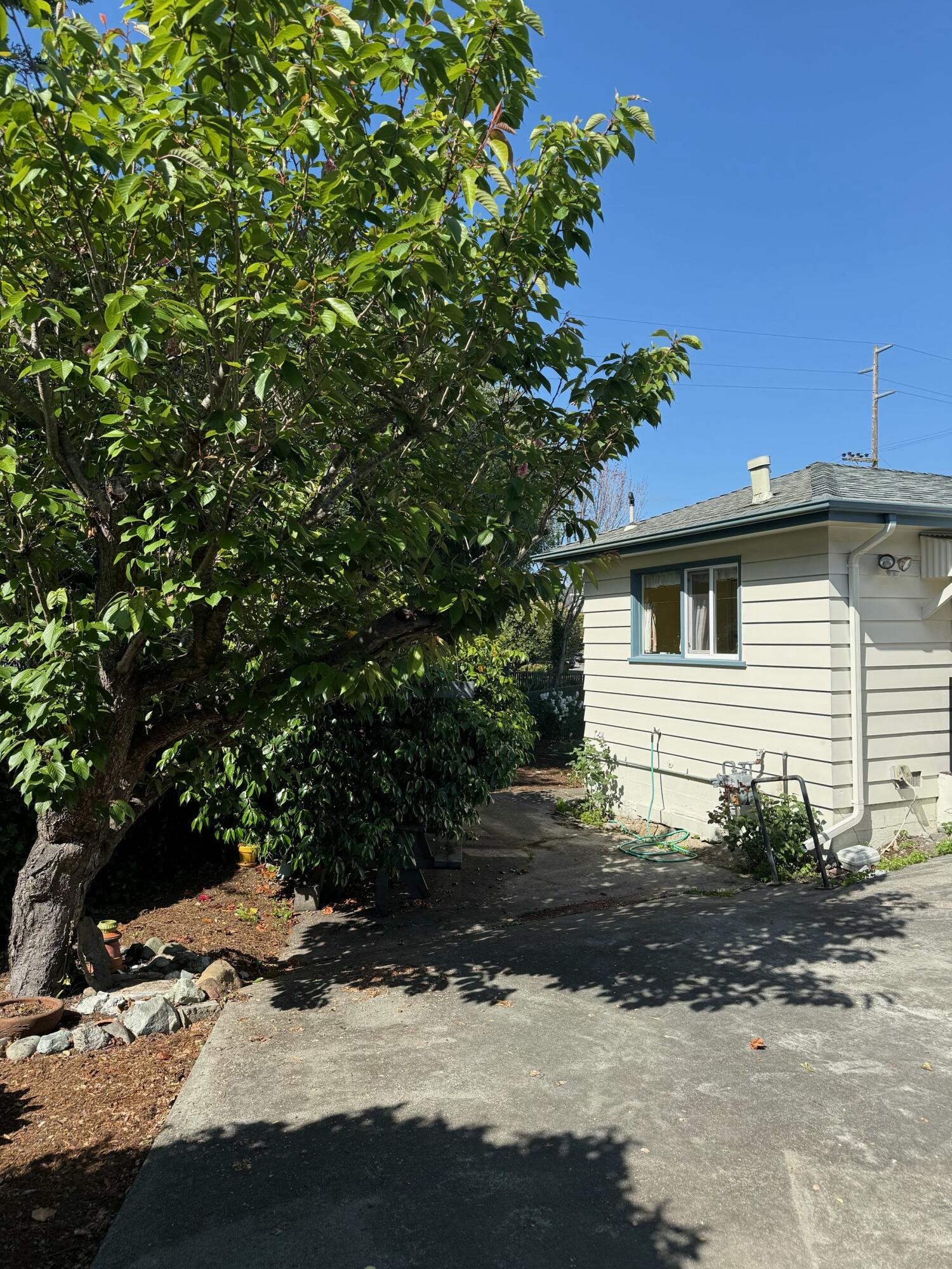 491 H Street Arcata, CA 95521 - Photo 35 of 41