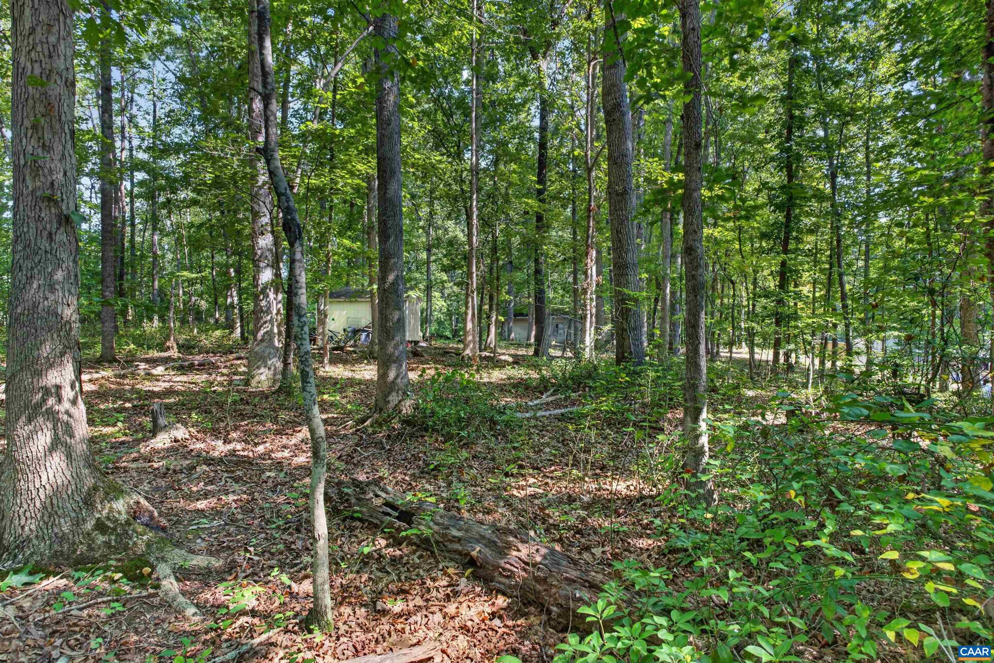 360 Swift Run Road, Unit 49 A 38C Ruckersville, VA 22968 - Photo 8 of 10 Gallery Image 8