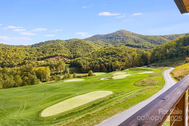a view of a big yard