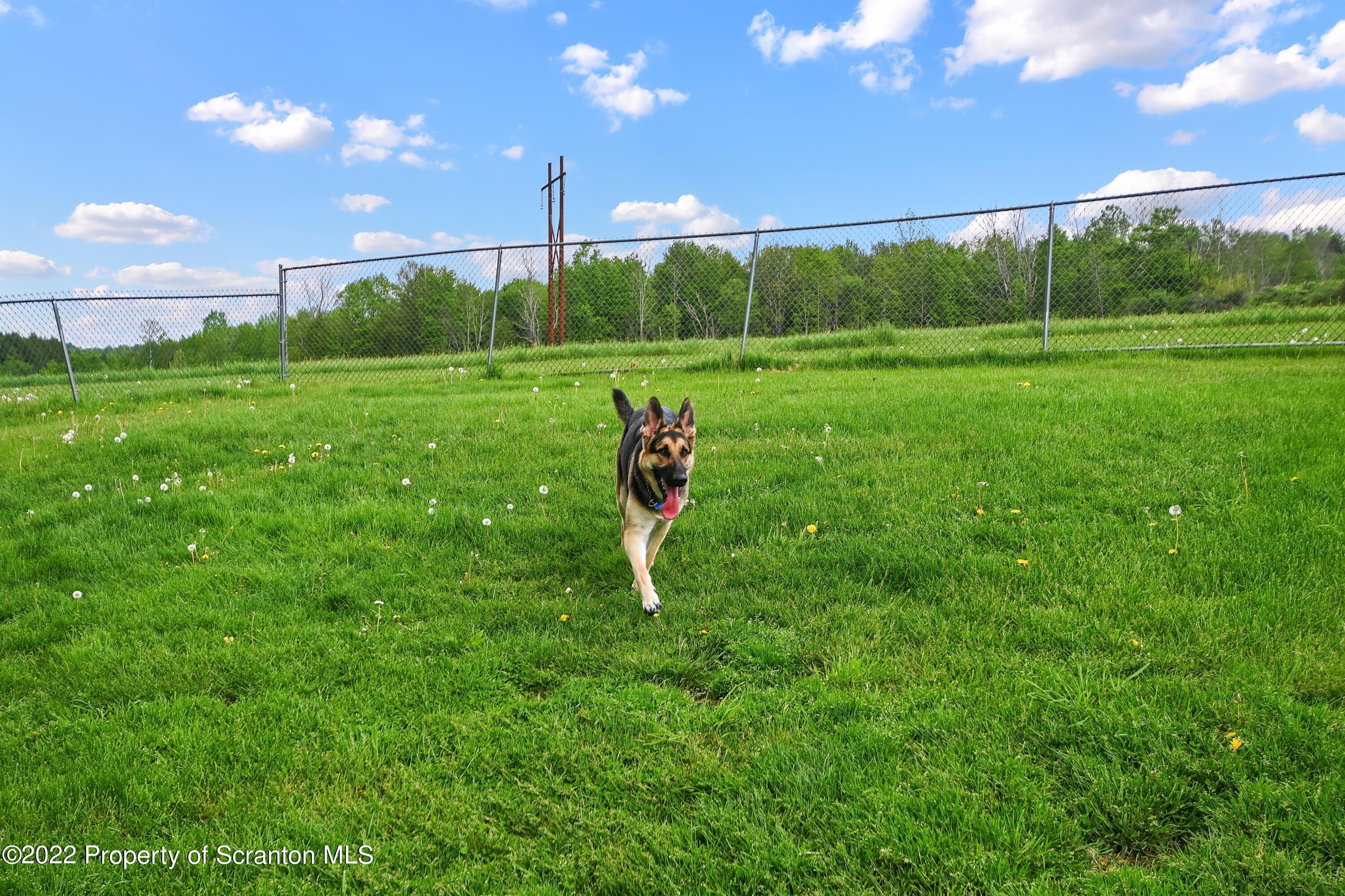 116 Hack Road Dalton, PA 18414 - Photo 33 of 33 a garden view