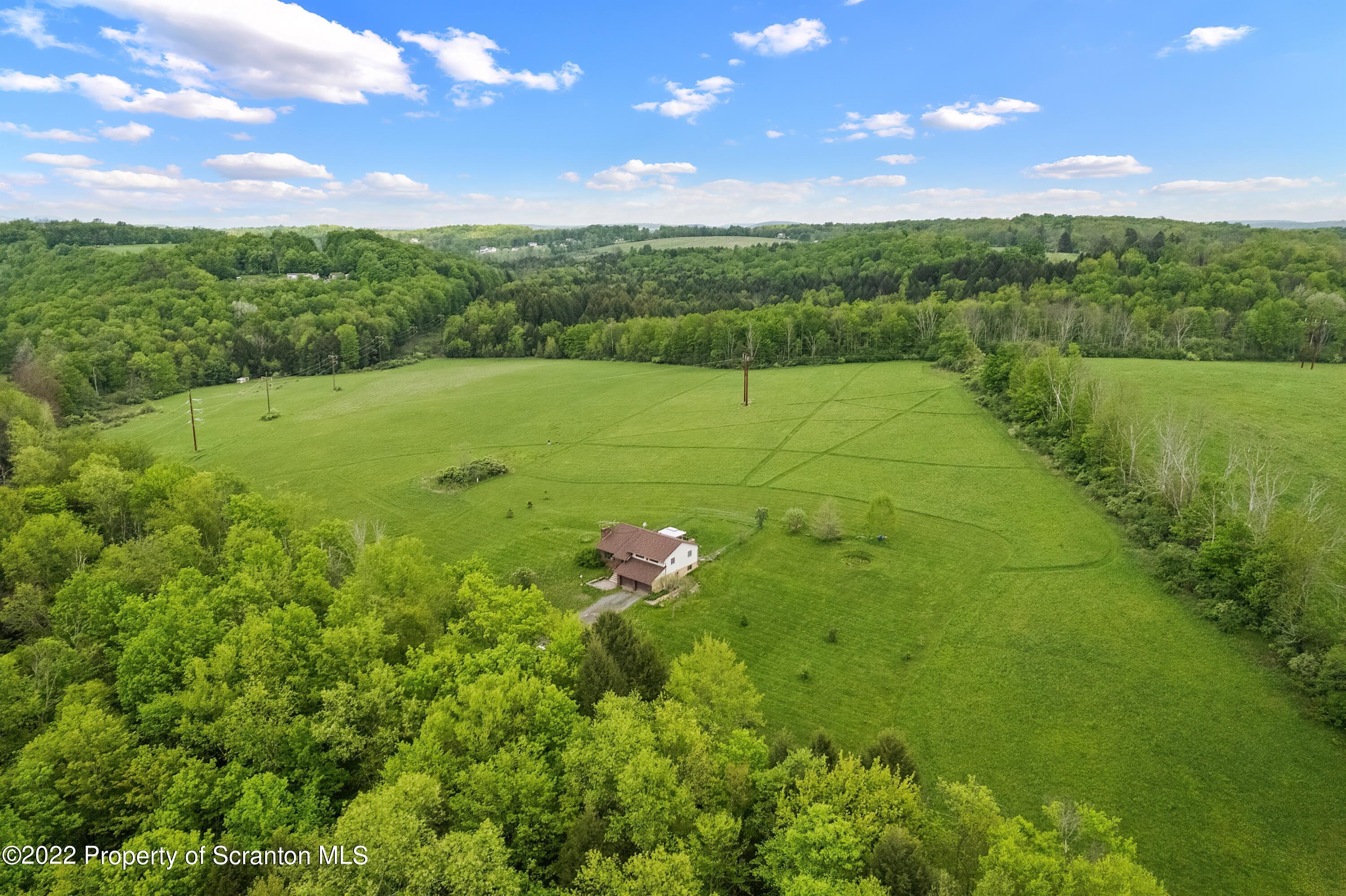 116 Hack Road Dalton, PA 18414 - Photo 7 of 33 a view of a green yard with a large tree
