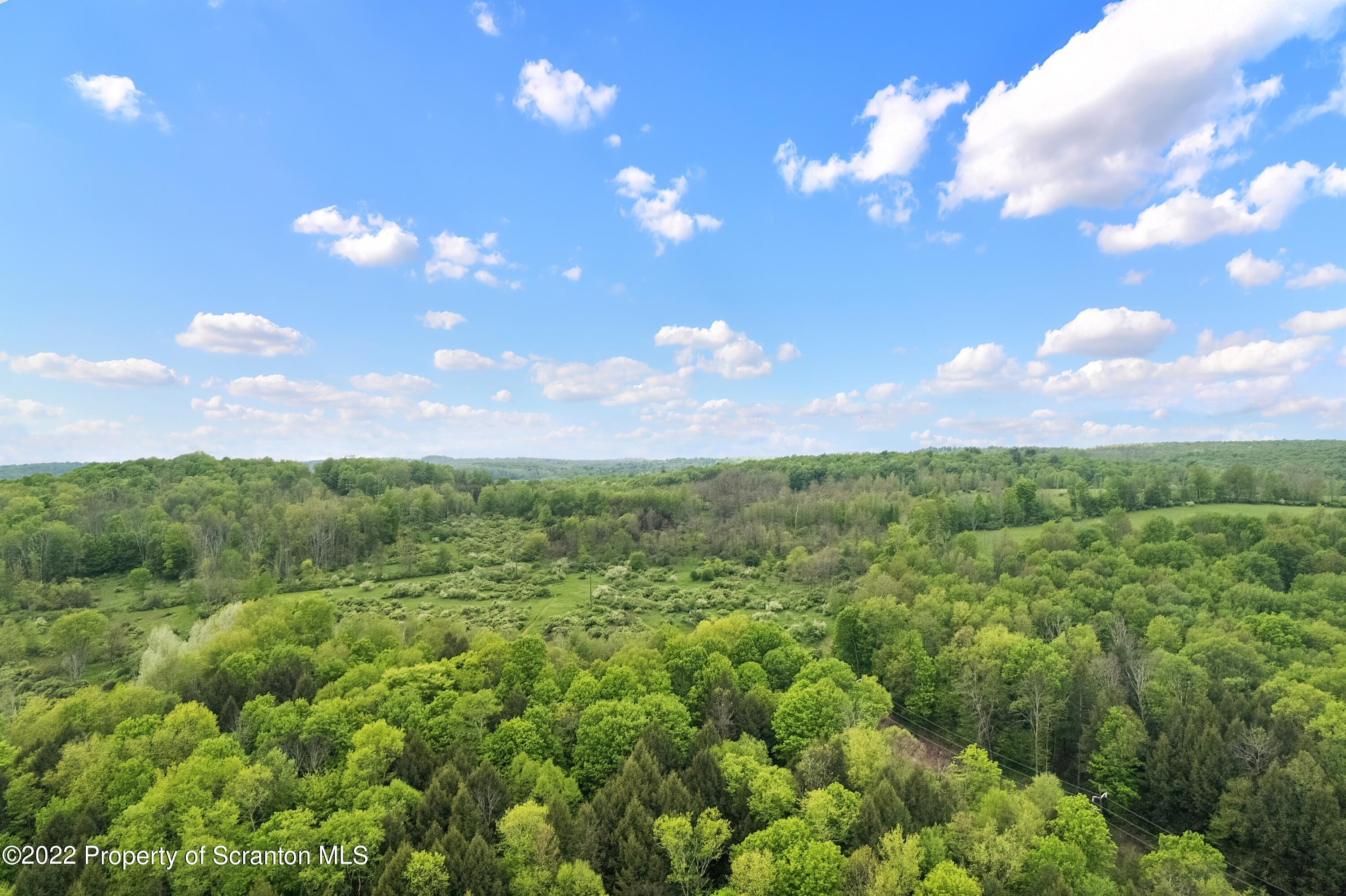 116 Hack Road Dalton, PA 18414 - Photo 9 of 33 a view of a city