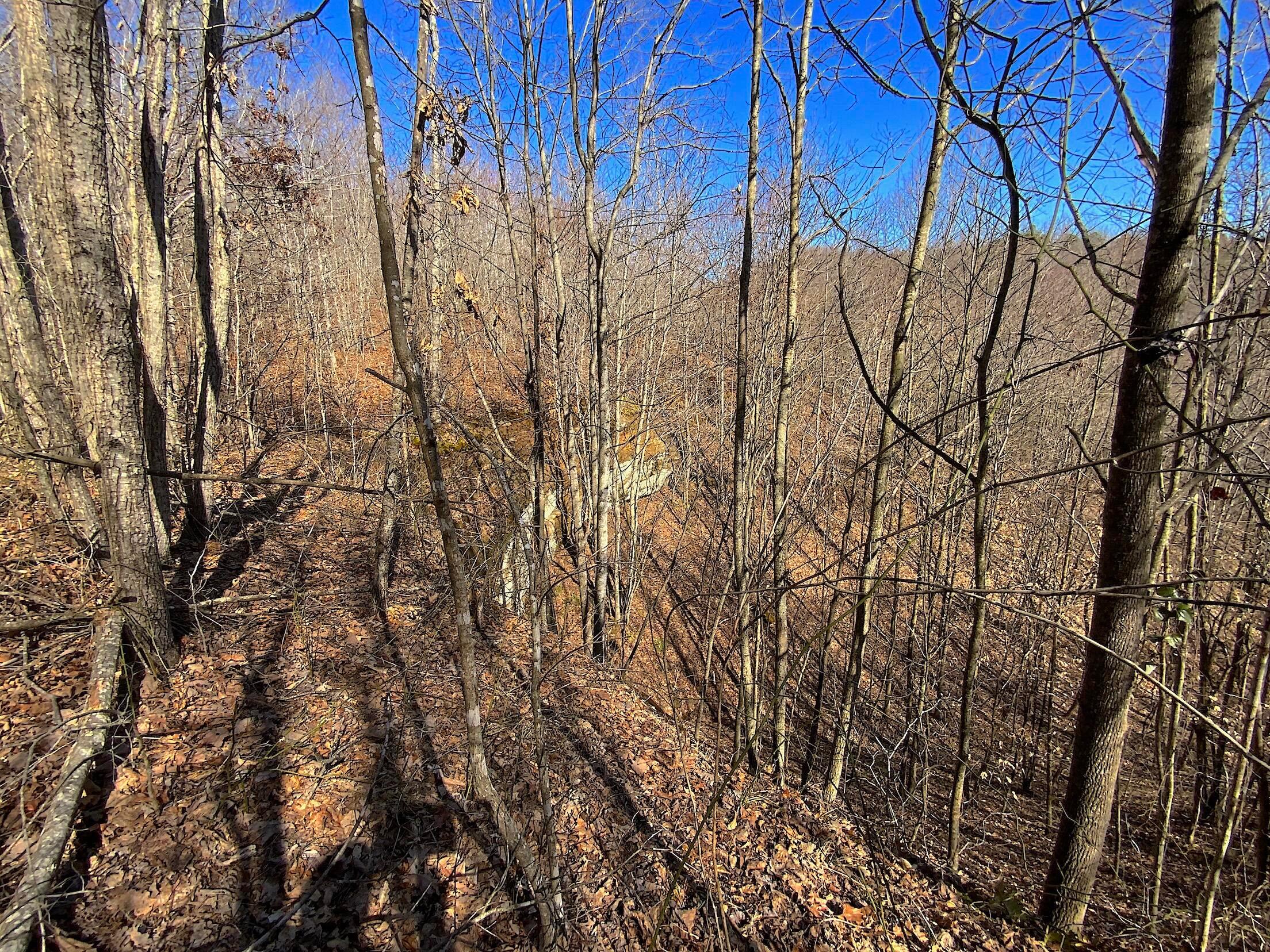 0 Kelly Road Ray, OH 45672 - Photo 8 of 46 Vinton County Kelly Rd 7