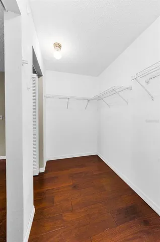 a view of a garden with a tree