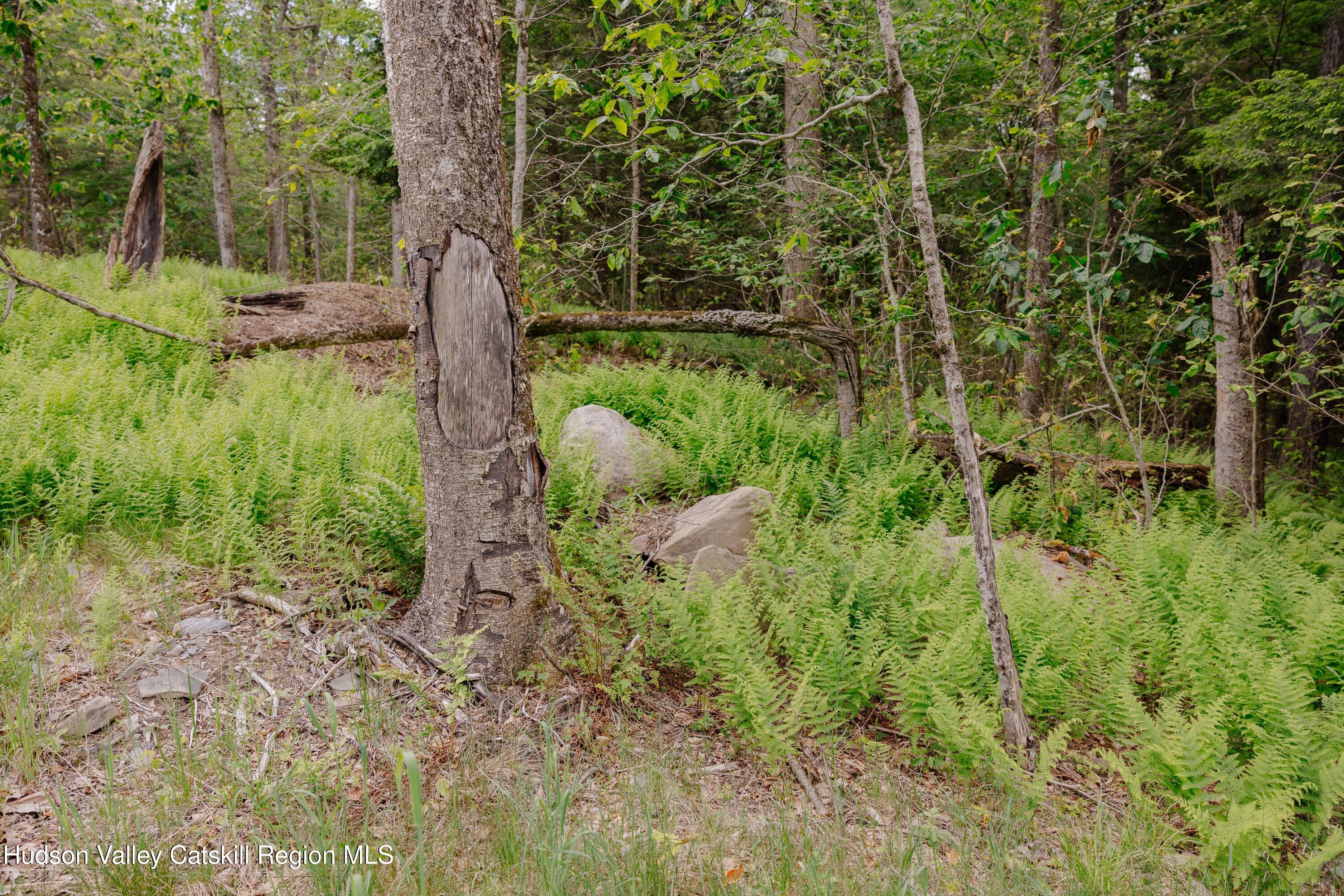 Tbd Church Lake Road Livingston Manor, NY 12758 - Photo 15 of 33 shandelee-woods-thatupstateagent-1-15