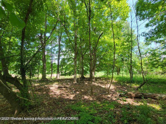 0 Cutler Road Portland, MI 48875 - Photo 10 of 12 20210614151504569712000000-o