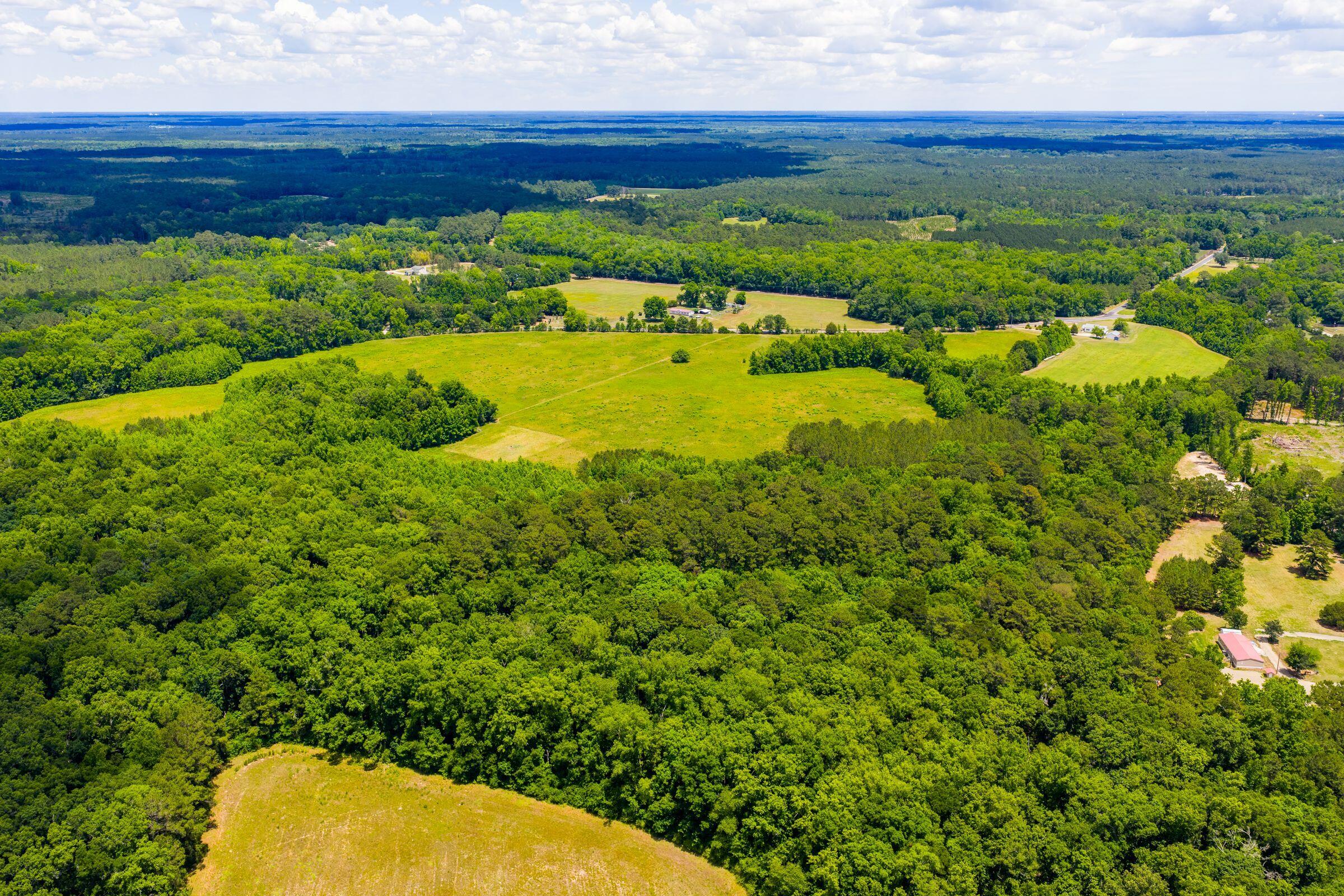 0 Rehoboth Road Cottageville, SC 29435 - Photo 23 of 35 RehobothRd-KeenEyeMarketing-023