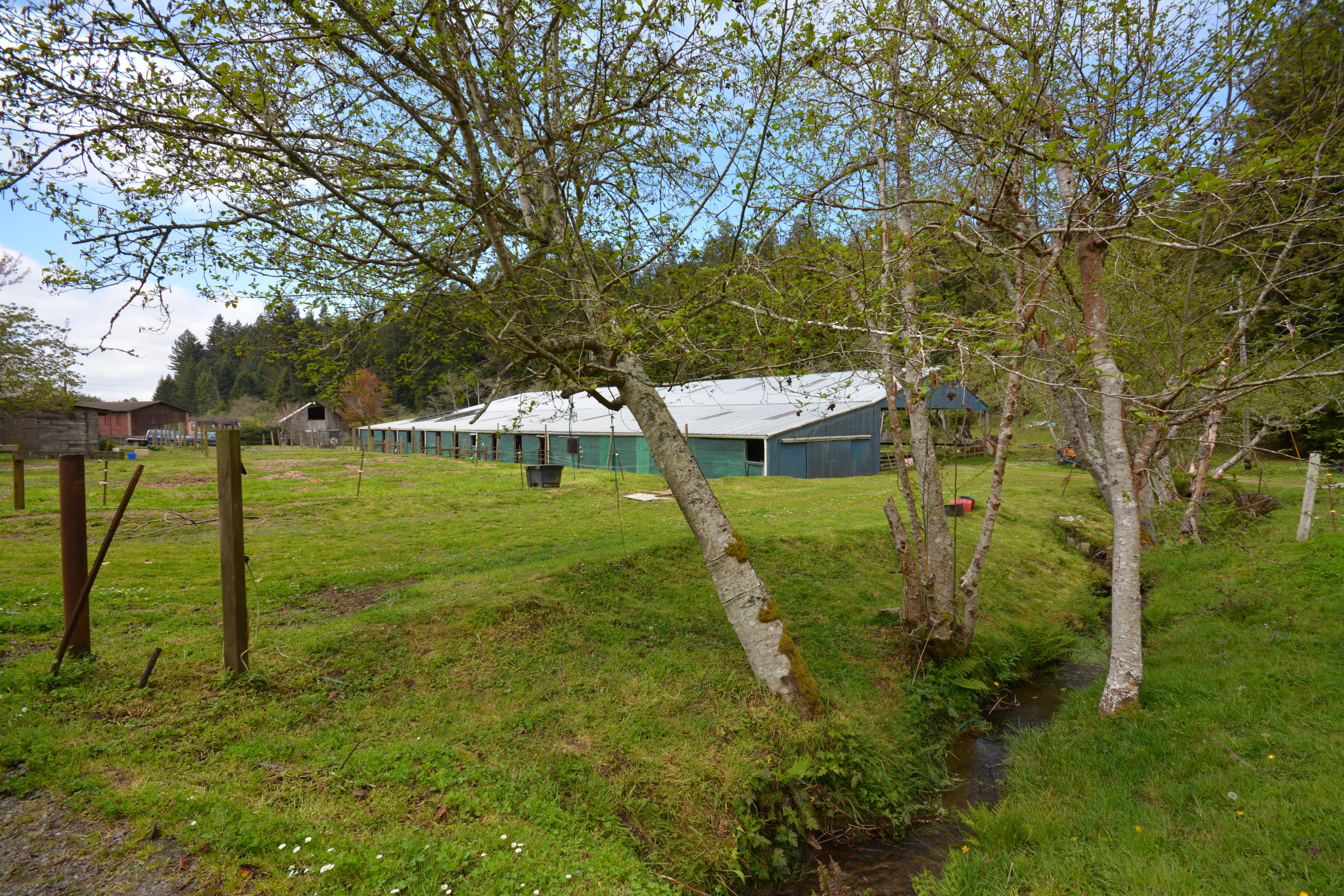 835 Ole Hansen Road Eureka, CA 95503 - Photo 64 of 123