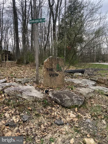 a view of a pathway with a yard