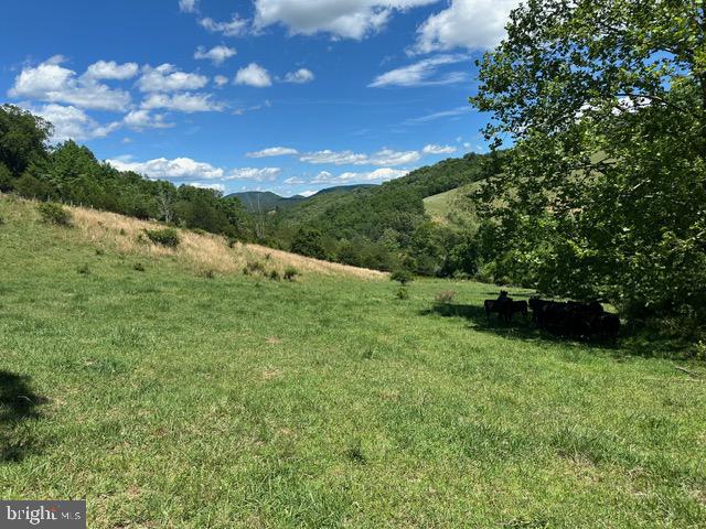 1096 Co Rte 10/2 Franklin, WV 26807 - Photo 6 of 23