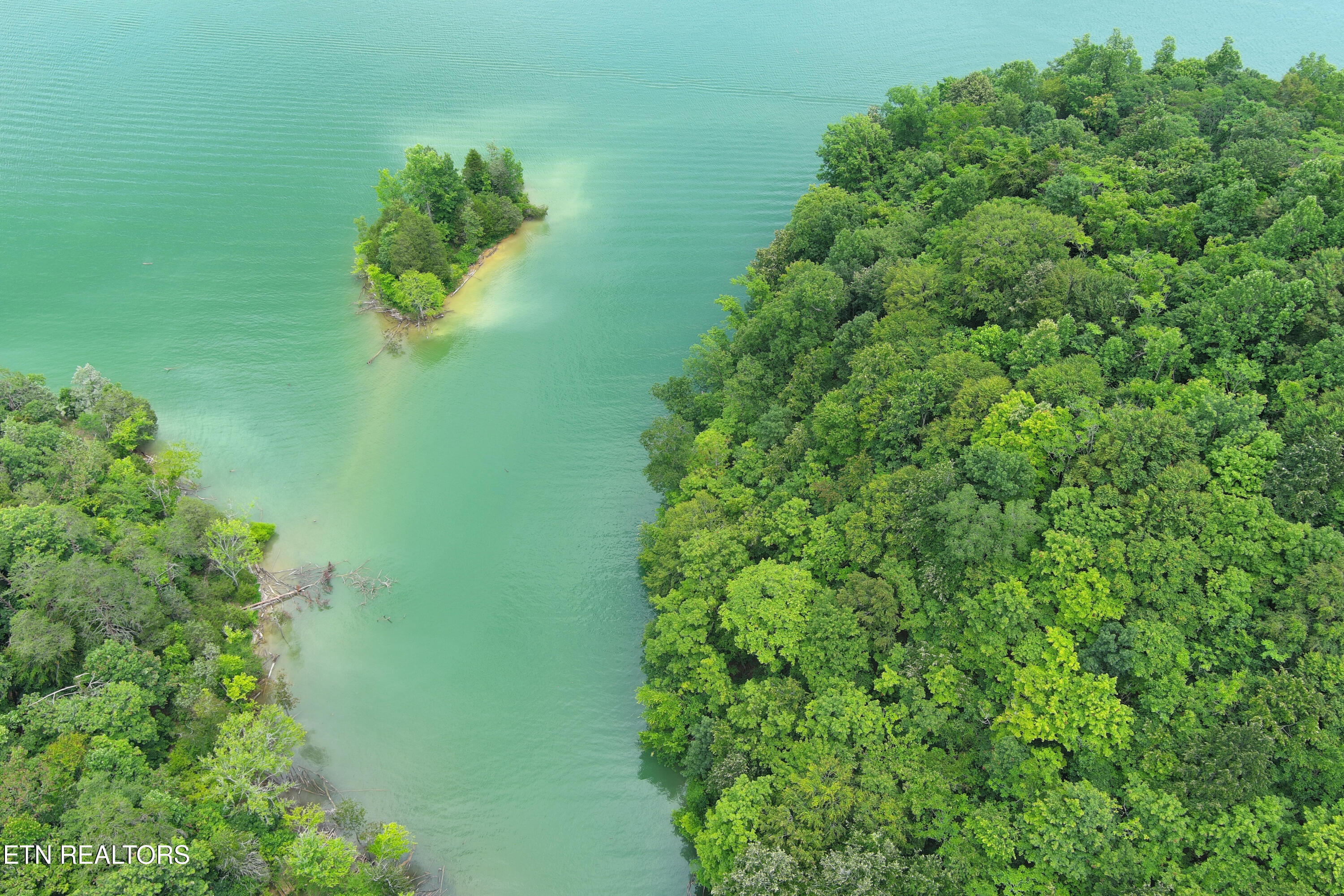 119 Laurel Wood Road New Tazewell, TN 37825 - Photo 13 of 21 Adams ariel 3