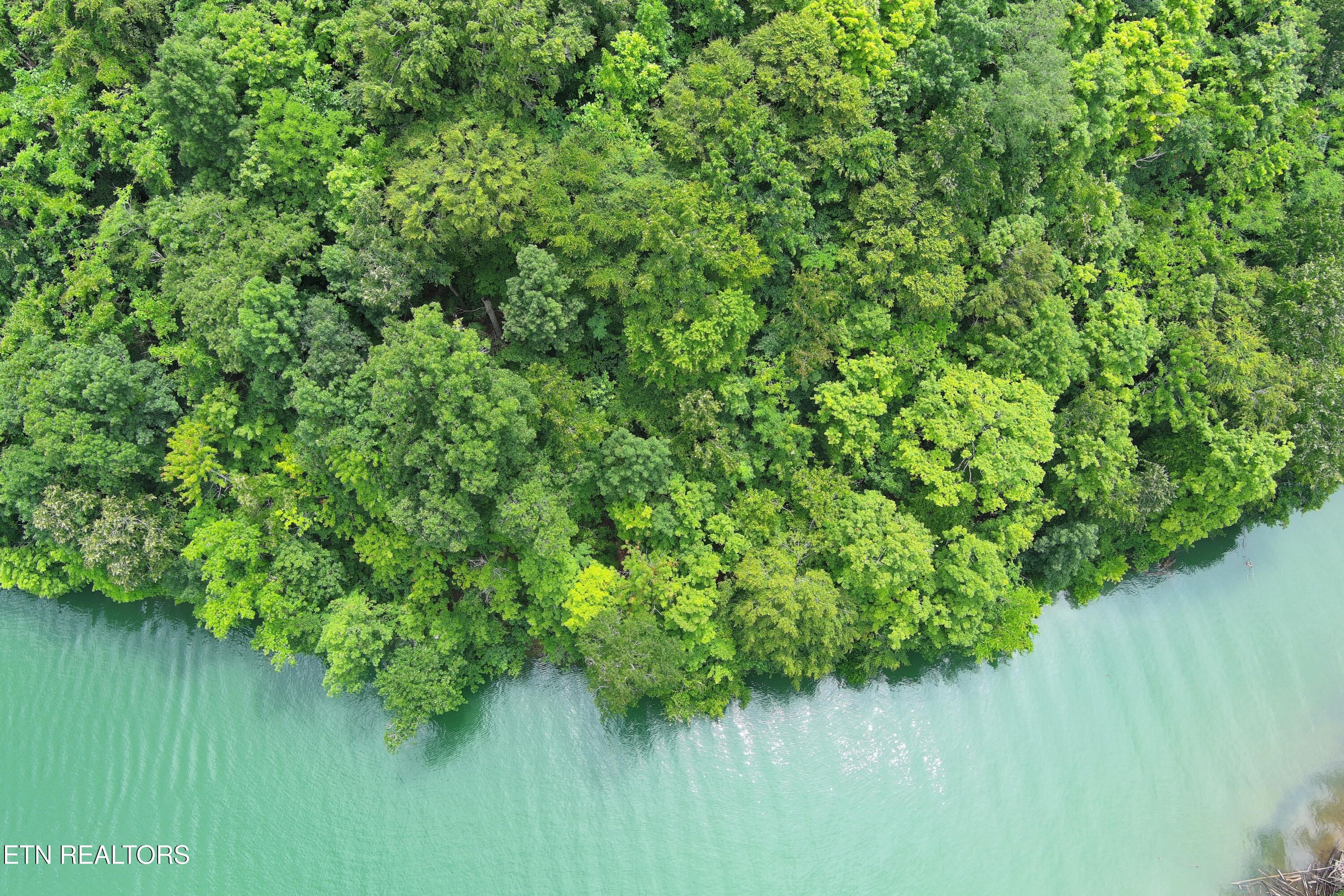 119 Laurel Wood Road New Tazewell, TN 37825 - Photo 14 of 21 Adams ariel 6