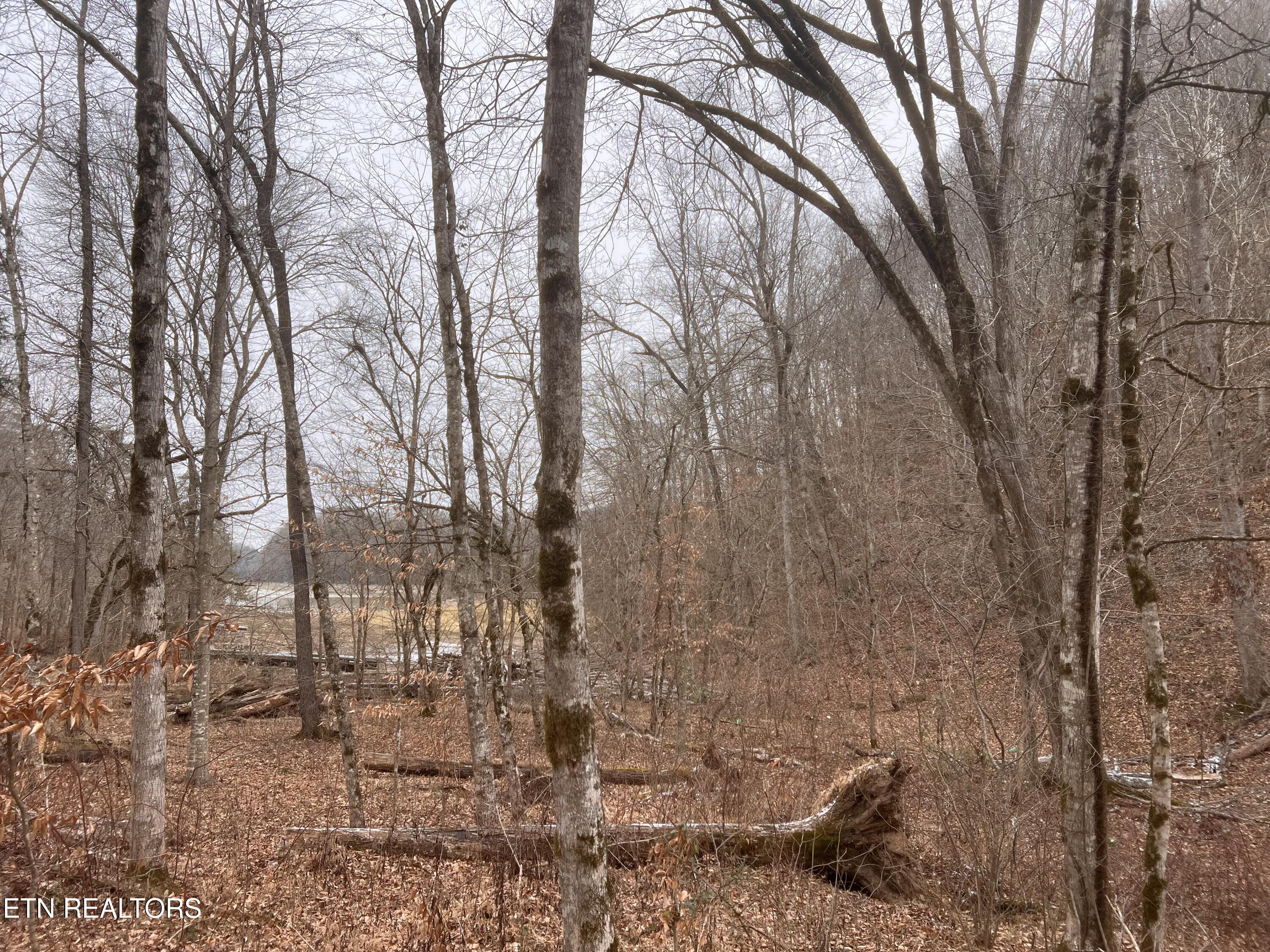 119 Laurel Wood Road New Tazewell, TN 37825 - Photo 18 of 21 IMG_5052