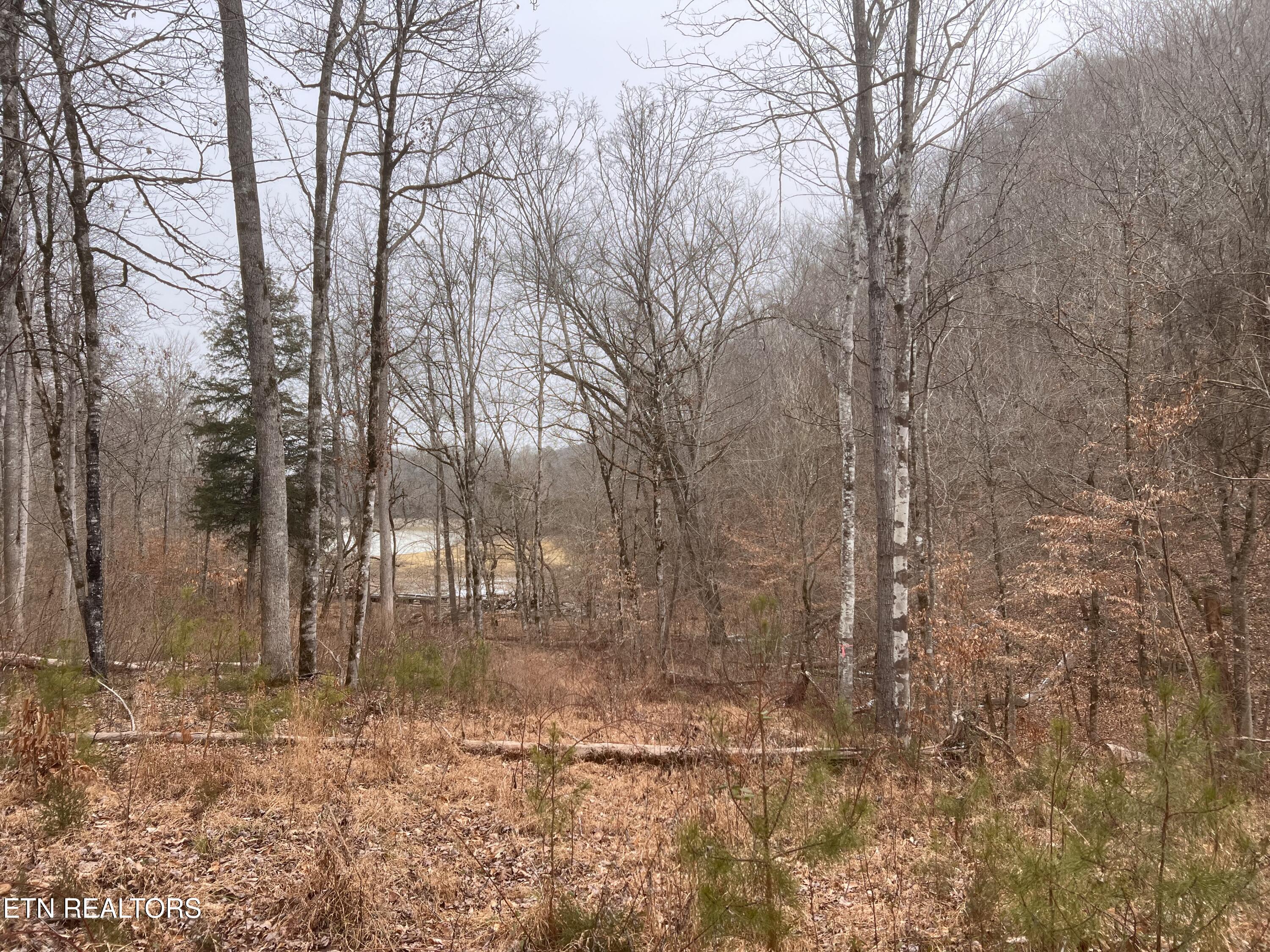 119 Laurel Wood Road New Tazewell, TN 37825 - Photo 19 of 21 IMG_5046