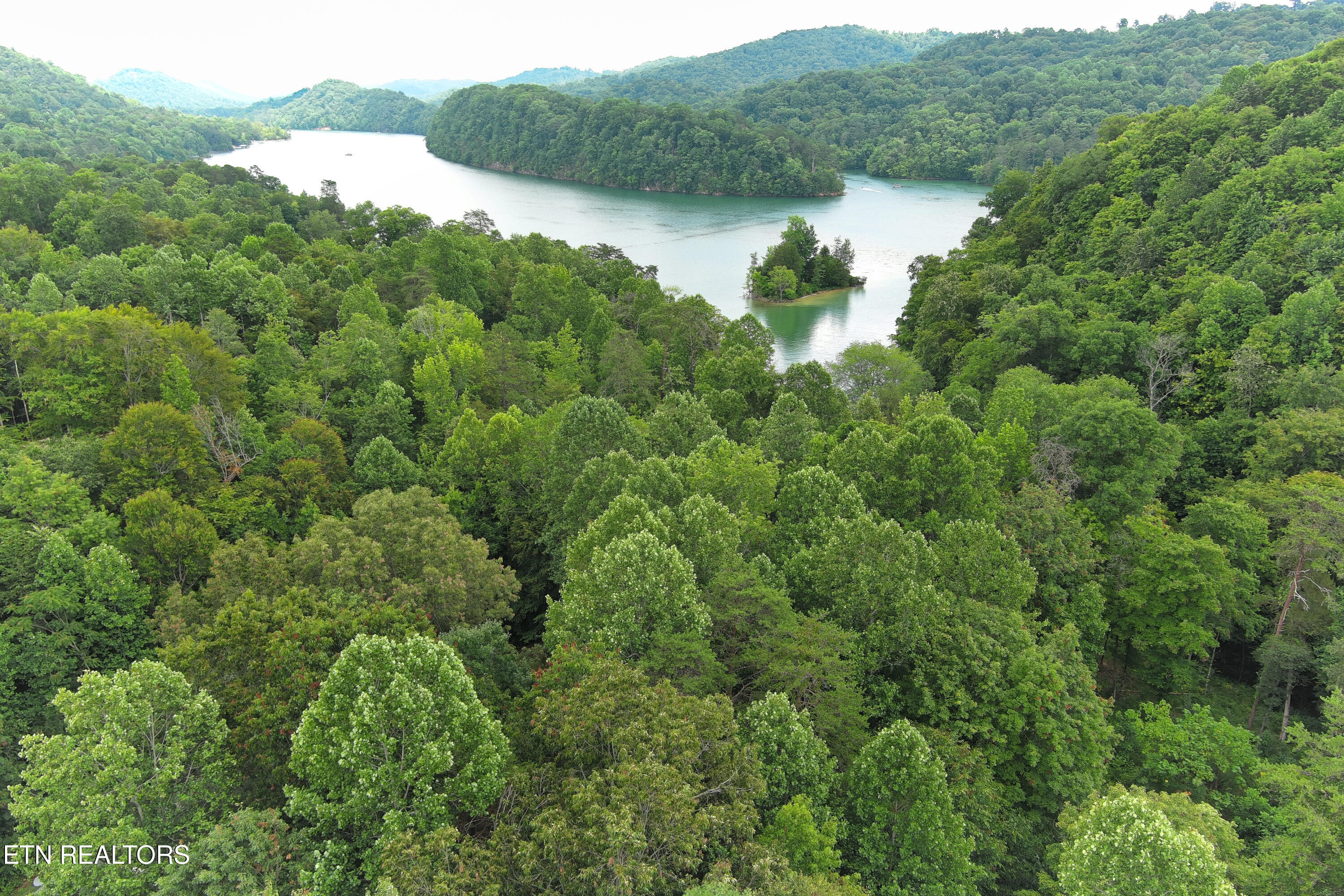 119 Laurel Wood Road New Tazewell, TN 37825 - Photo 5 of 21 Aerial View