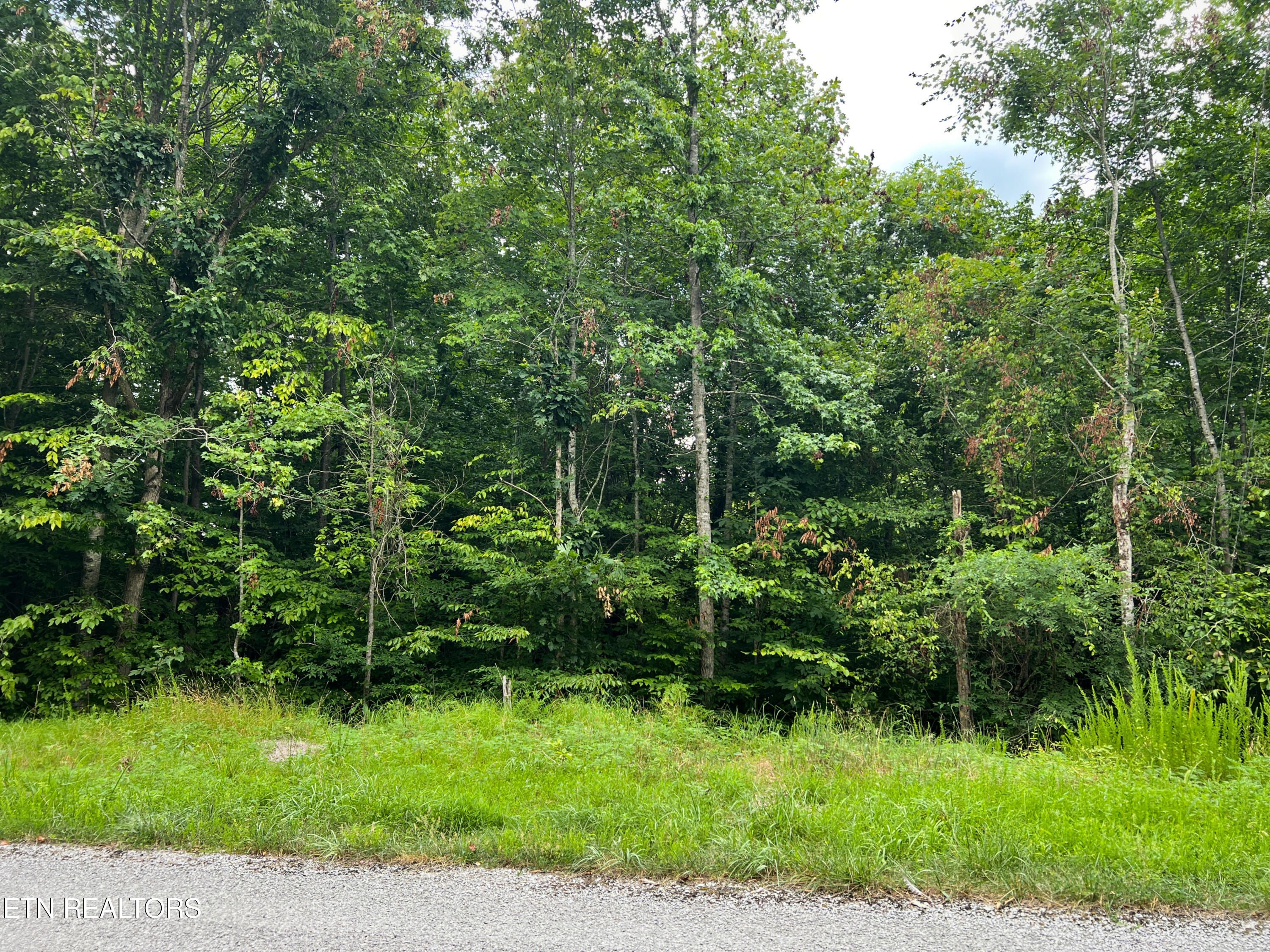 119 Laurel Wood Road New Tazewell, TN 37825 - Photo 7 of 21 Street View