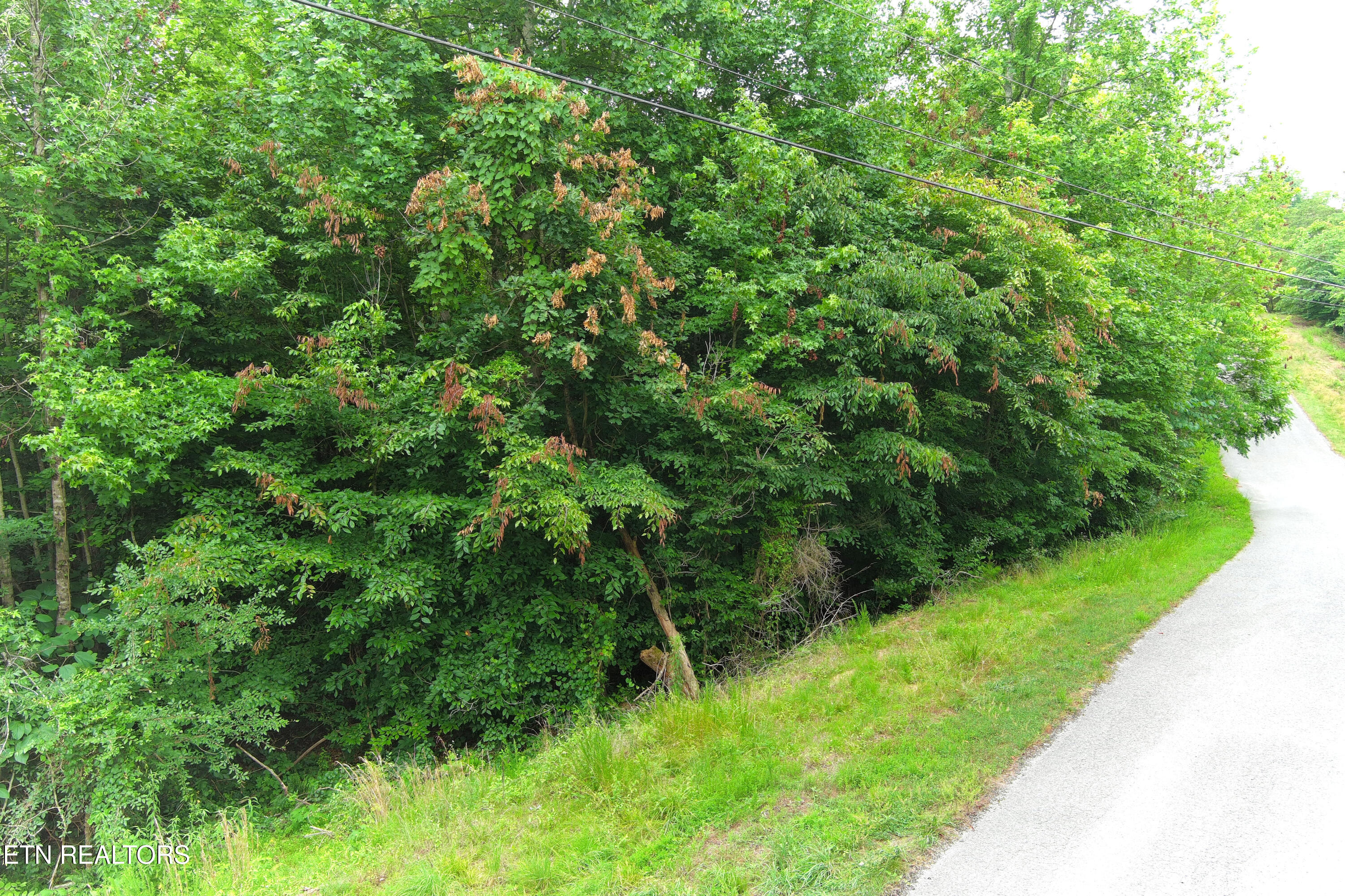 119 Laurel Wood Road New Tazewell, TN 37825 - Photo 8 of 21 Frontage