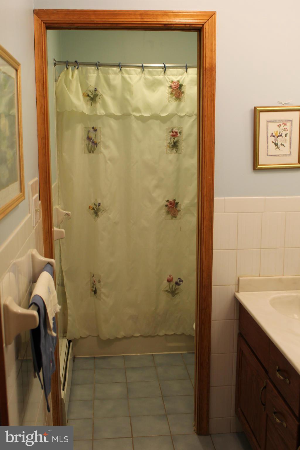 6622 Cherry Hill Road Baldwin, MD 21013 - Photo 21 of 30 Bath
