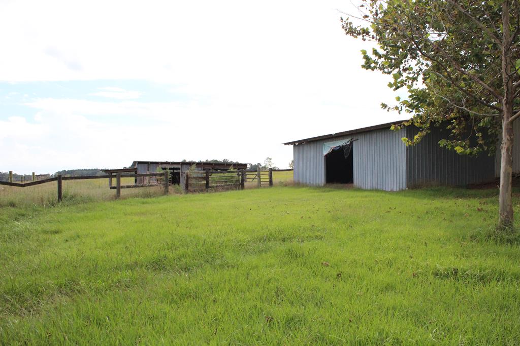 2498 Tindil Creek Road Slocomb, AL 36375 - Photo 37 of 49