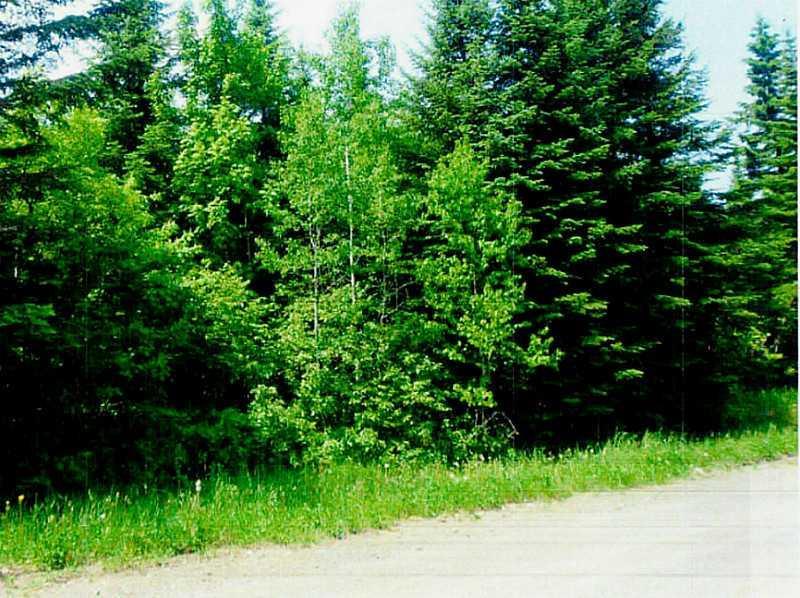 Lot 27 Grivois Road Grand Isle, ME 04746 - Photo 5 of 6 Land/Lot.