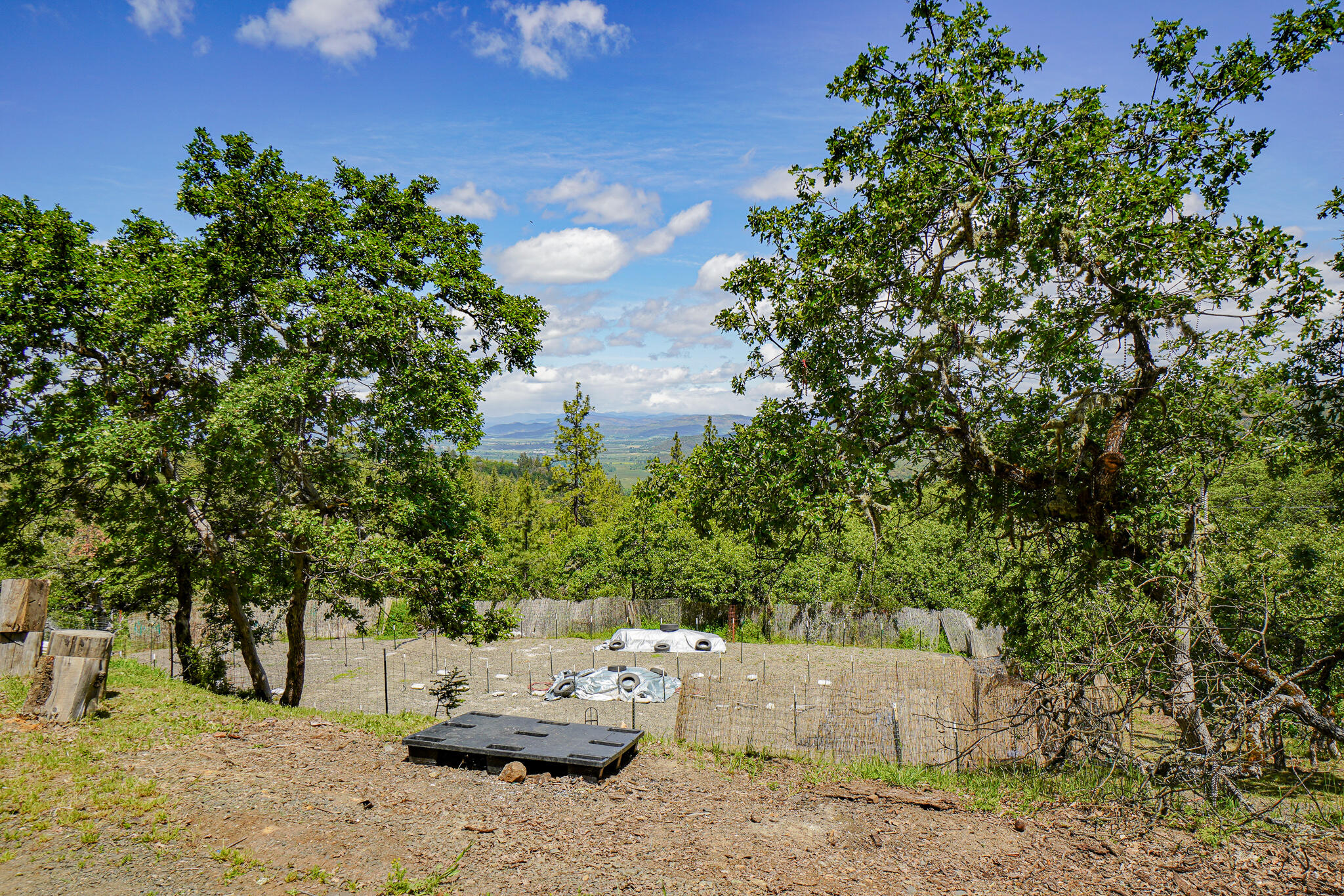 1729 Wren Ridge Drive Eagle Point, OR 97524 - Photo 19 of 21 DSC09547