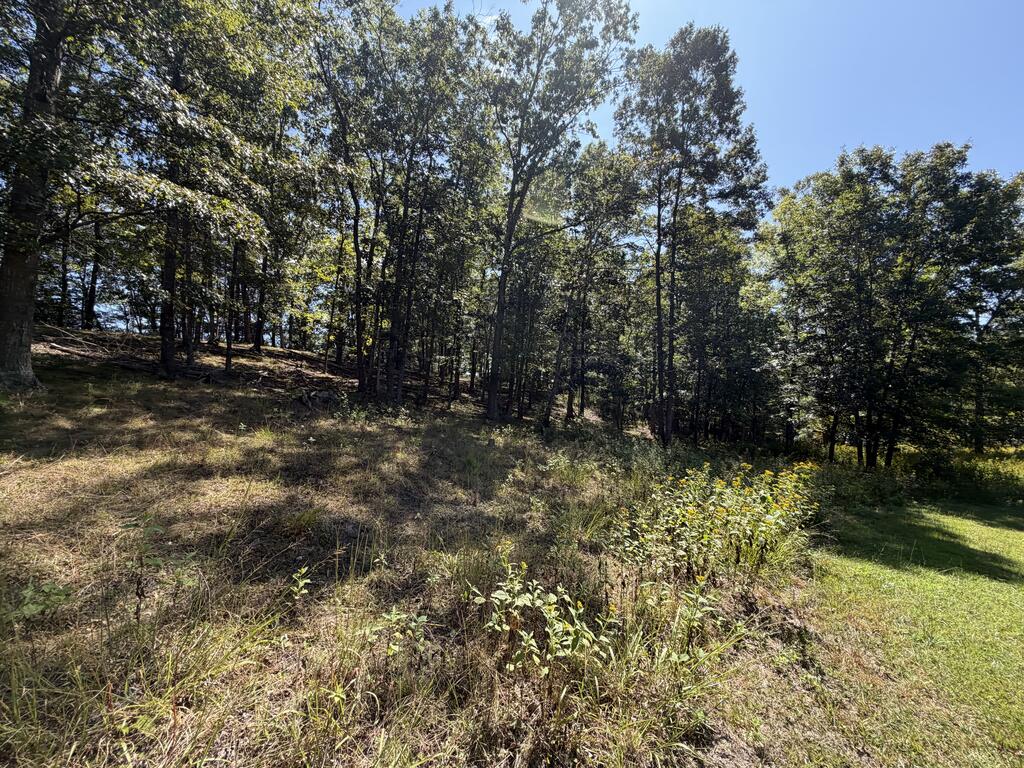 2443 Bruce Allen Road Hinton, WV 25951 - Photo 51 of 75 Gallery Image 51