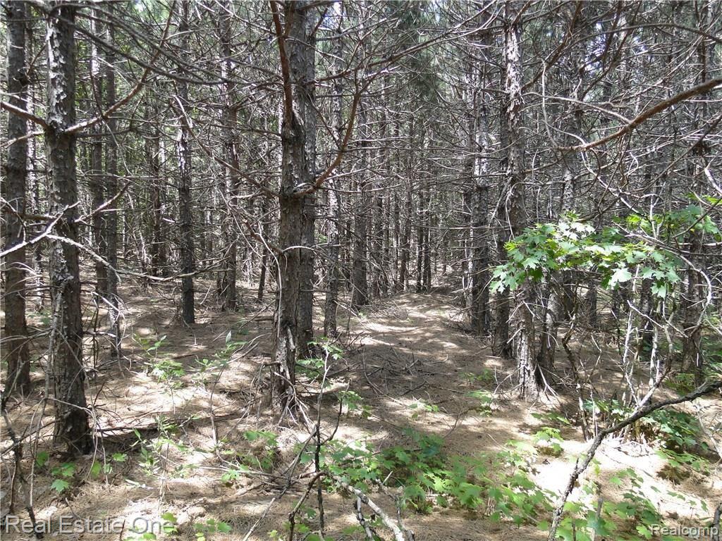 1717 West Sharon Road Fife Lake, MI 49633 - Photo 9 of 17 DSC04466.JPG