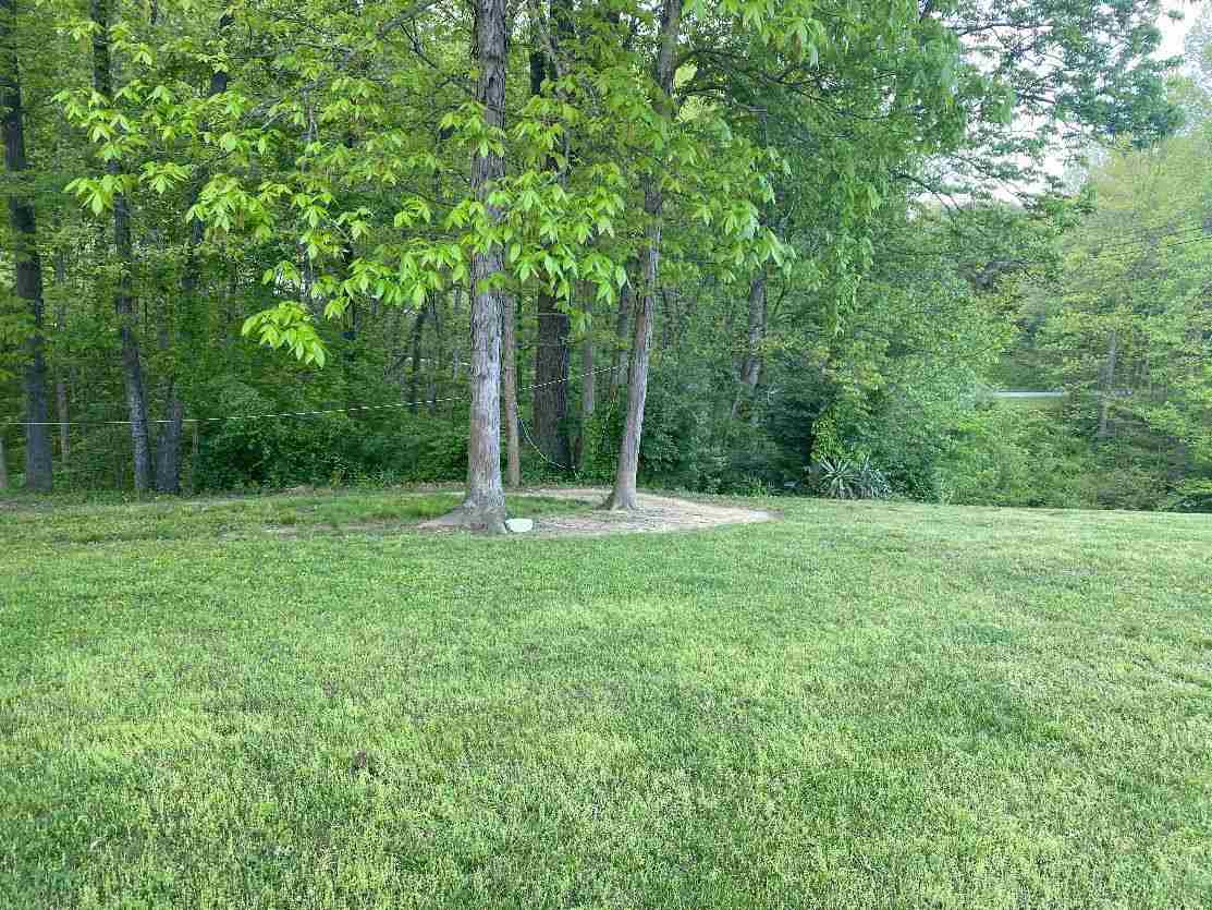 Lot28-27partial Eastview Road Catlettsburg, KY 41129 - Photo 3 of 5