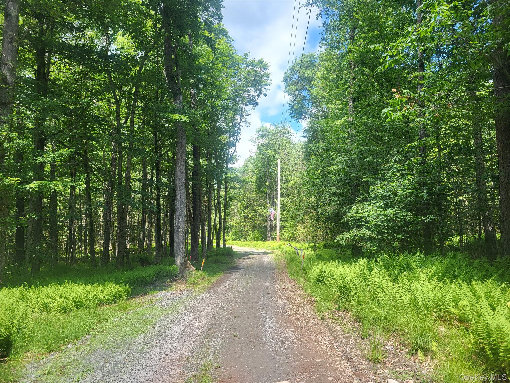 52 Log Road Parksville, NY 12768 - Photo 24 of 31 Road