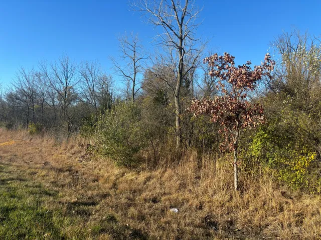 $250,000 | 27570 Highway 176, Wauconda, IL 60084