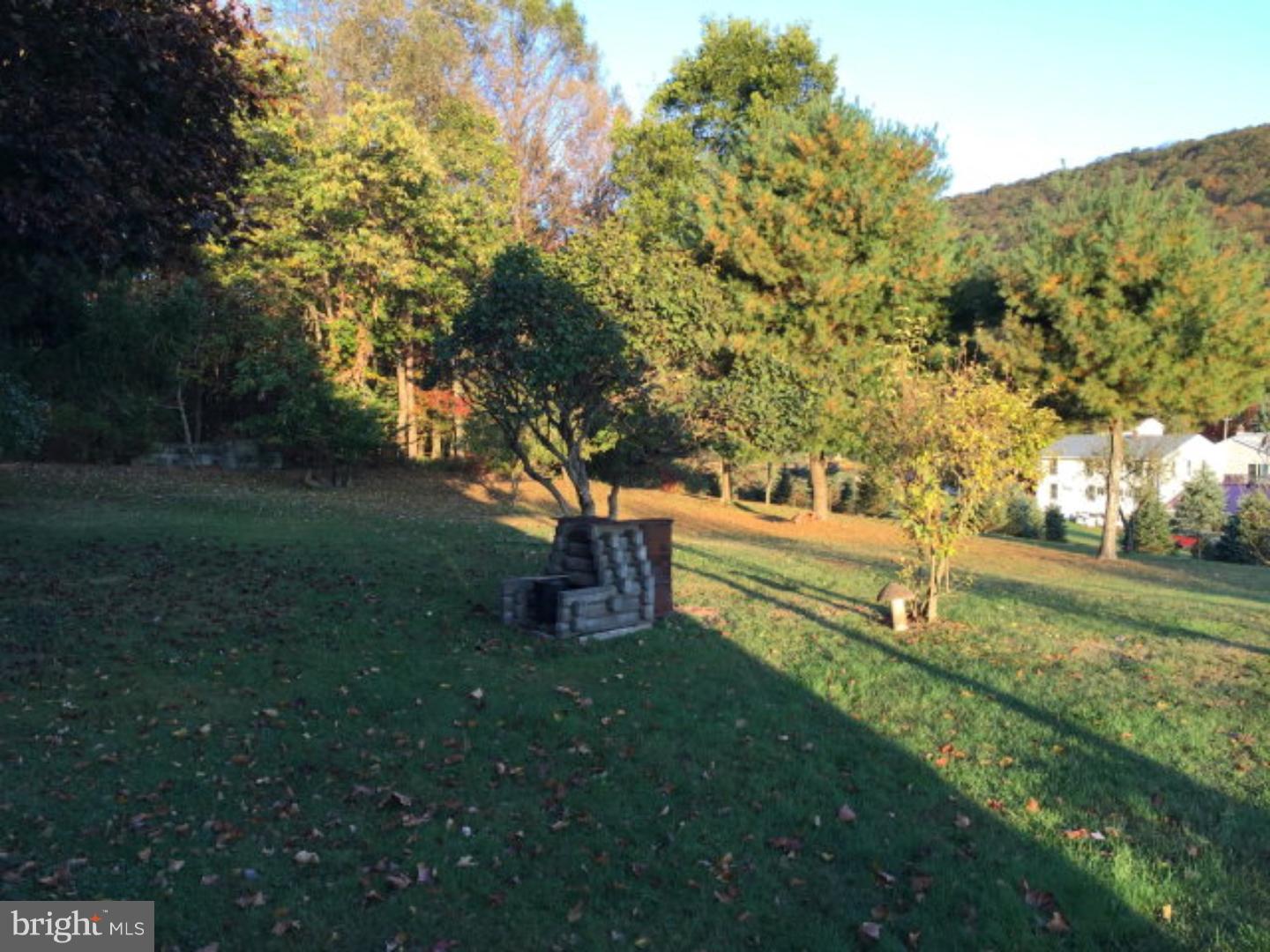 117 Tiley Road Ashland, PA 17921 - Photo 22 of 25 Side Yard