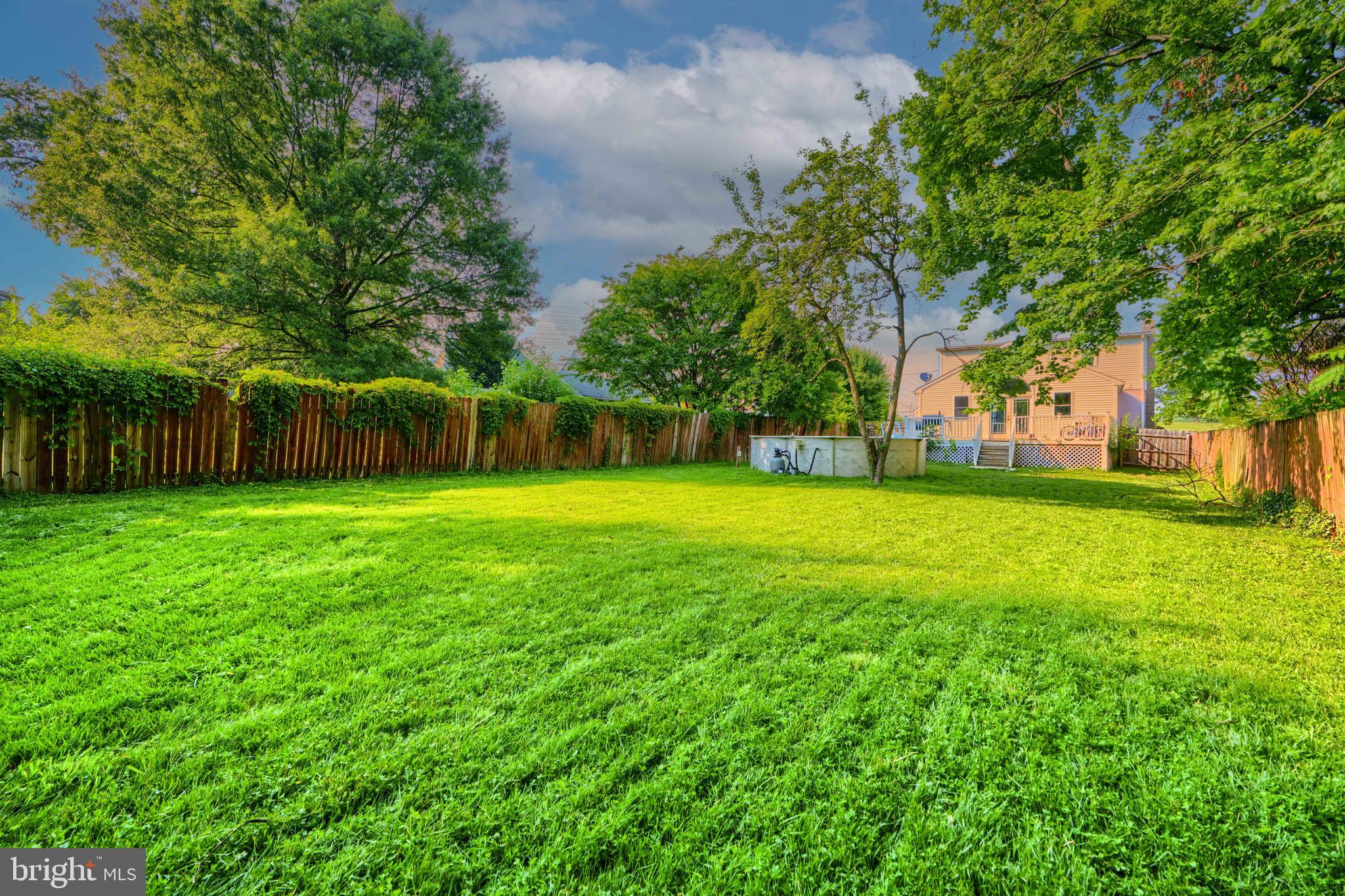 5221 Trumps Mill Road Baltimore, MD 21206 - Photo 48 of 53 a view of a park with large trees