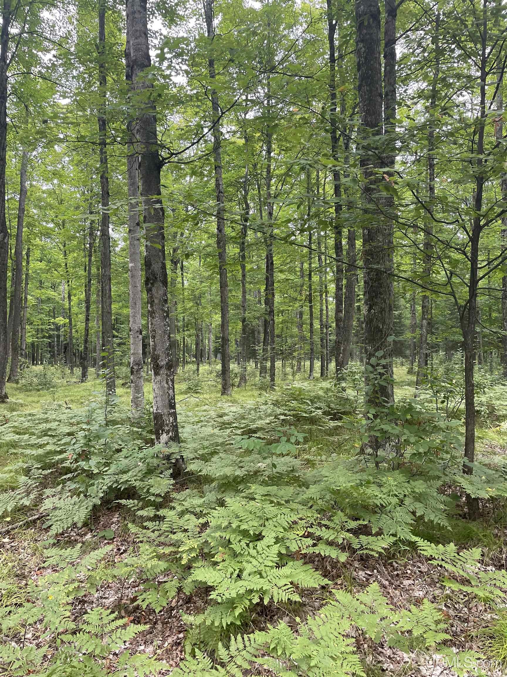 Tbd Tbd County Road, Unit 1 Cornell, MI 49818 - Photo 32 of 41