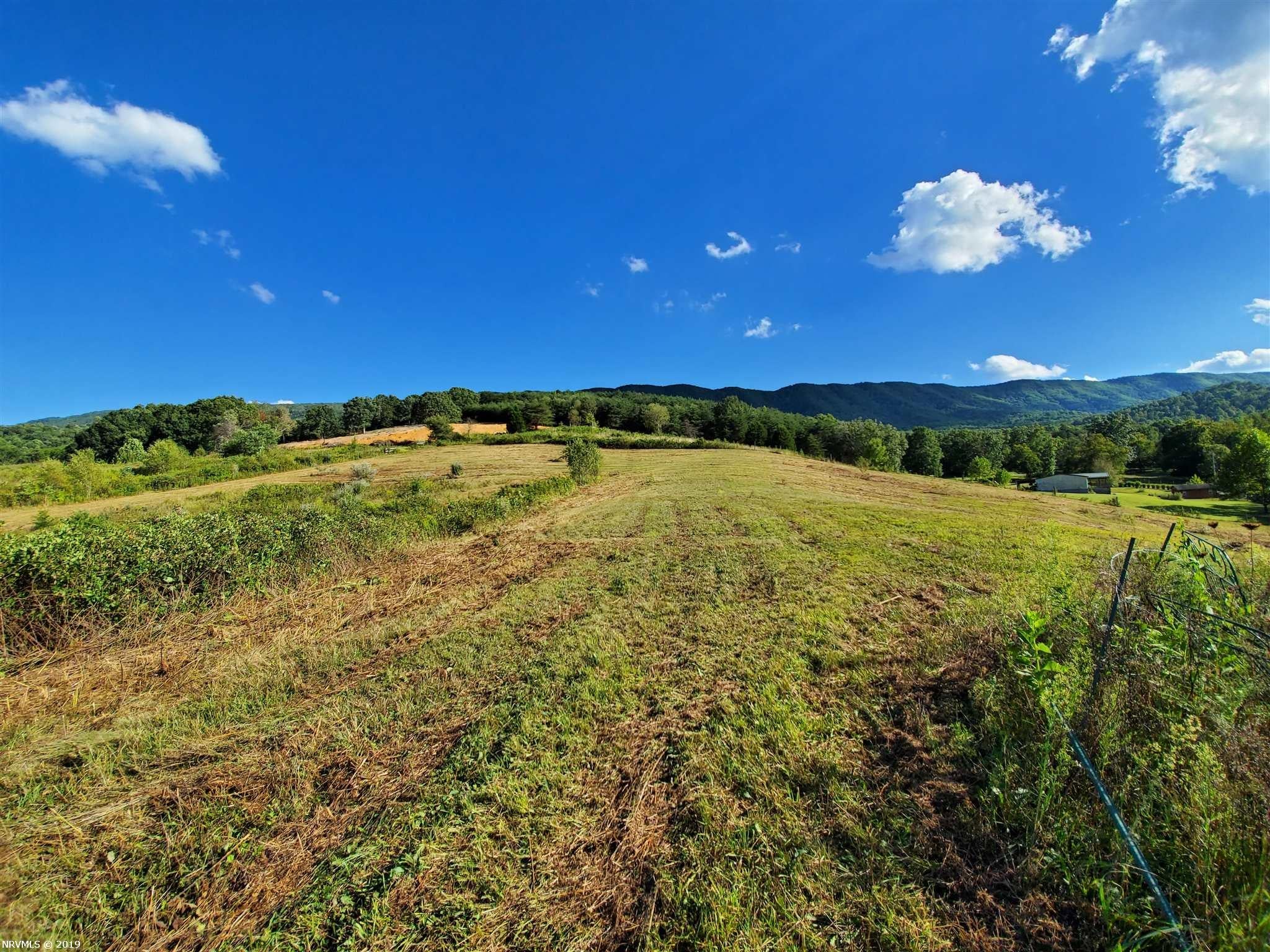 Tbd Penvir Road Narrows, VA 24124 - Photo 4 of 14 Gallery Image 4