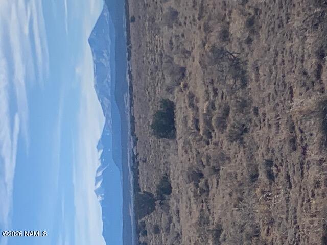 1546 Pine Road Williams, AZ 86046 - Photo 2 of 8 a view of a dry yard with mountains in the background
