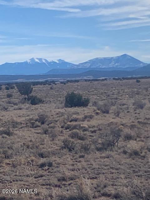 1546 Pine Road Williams, AZ 86046 - Photo 6 of 8 a view of a dry yard with mountains in the background