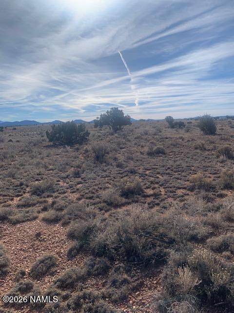 1546 Pine Road Williams, AZ 86046 - Photo 8 of 8 a view of a dry yard with wooden floor