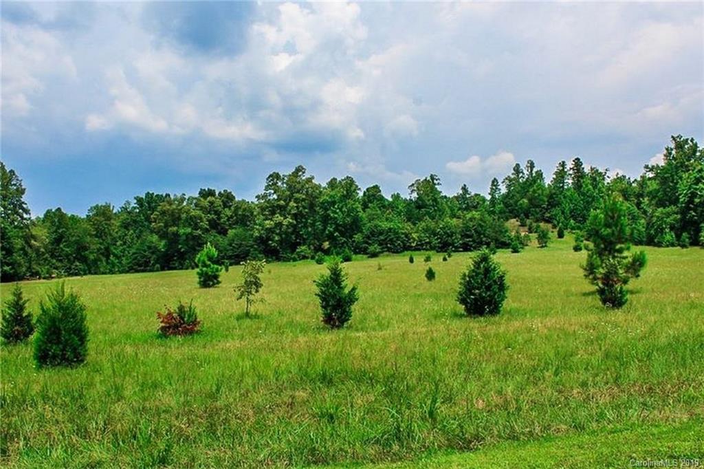 904 Cross Ridge Drive, Unit 138 Rutherfordton, NC 28139 - Photo 28 of 31