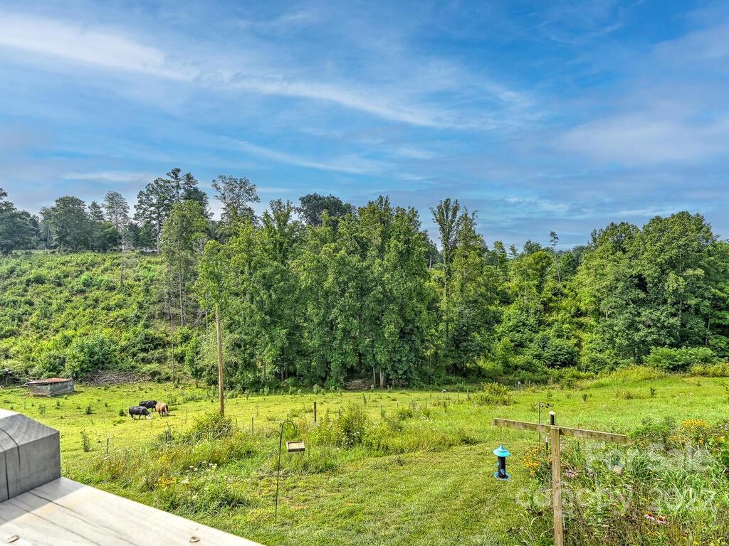 131 Grandview Road Alexander, NC 28701 - Photo 26 of 33 Gallery Image 26
