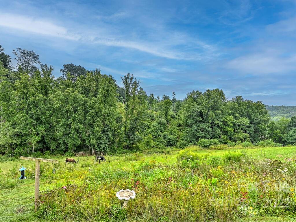 131 Grandview Road Alexander, NC 28701 - Photo 27 of 33 Gallery Image 27