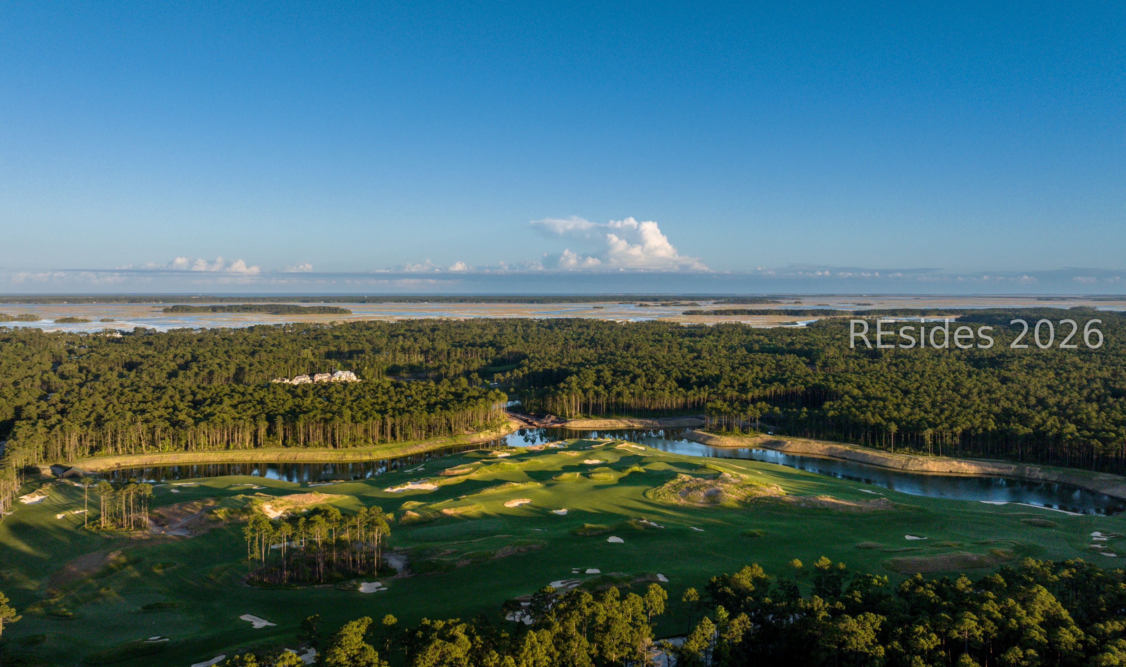 18 Inkberry Street Bluffton, SC 29910 - Photo 4 of 4