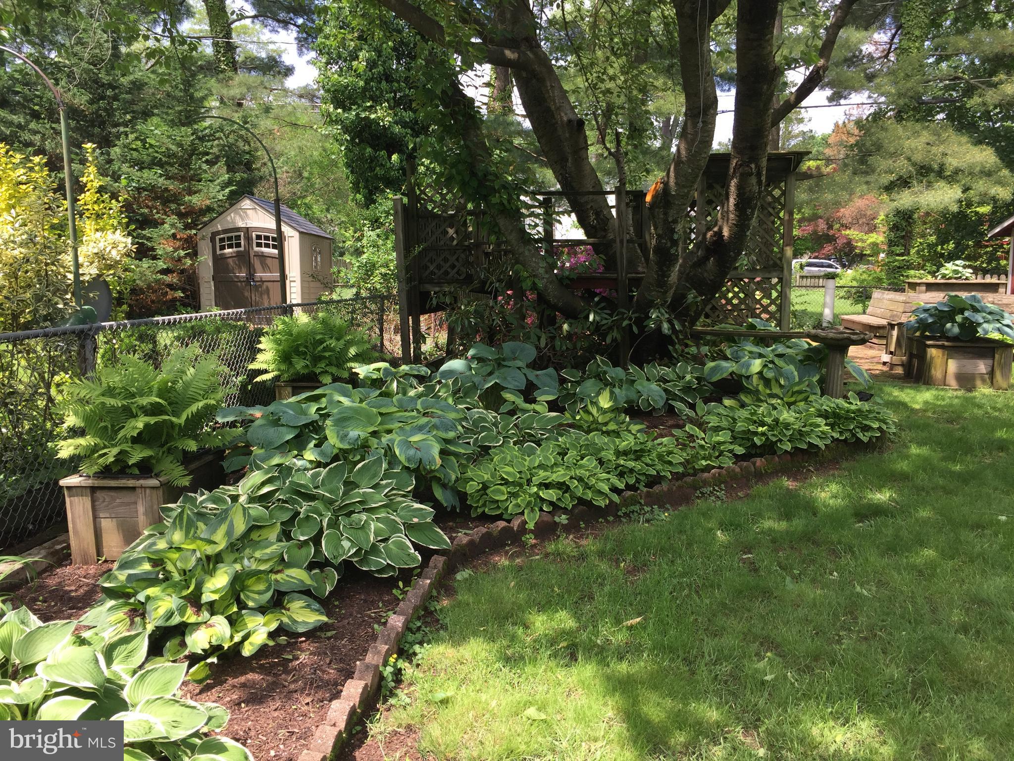 602 Woodside Road Baltimore, MD 21208 - Photo 5 of 30 Hosta Gardens