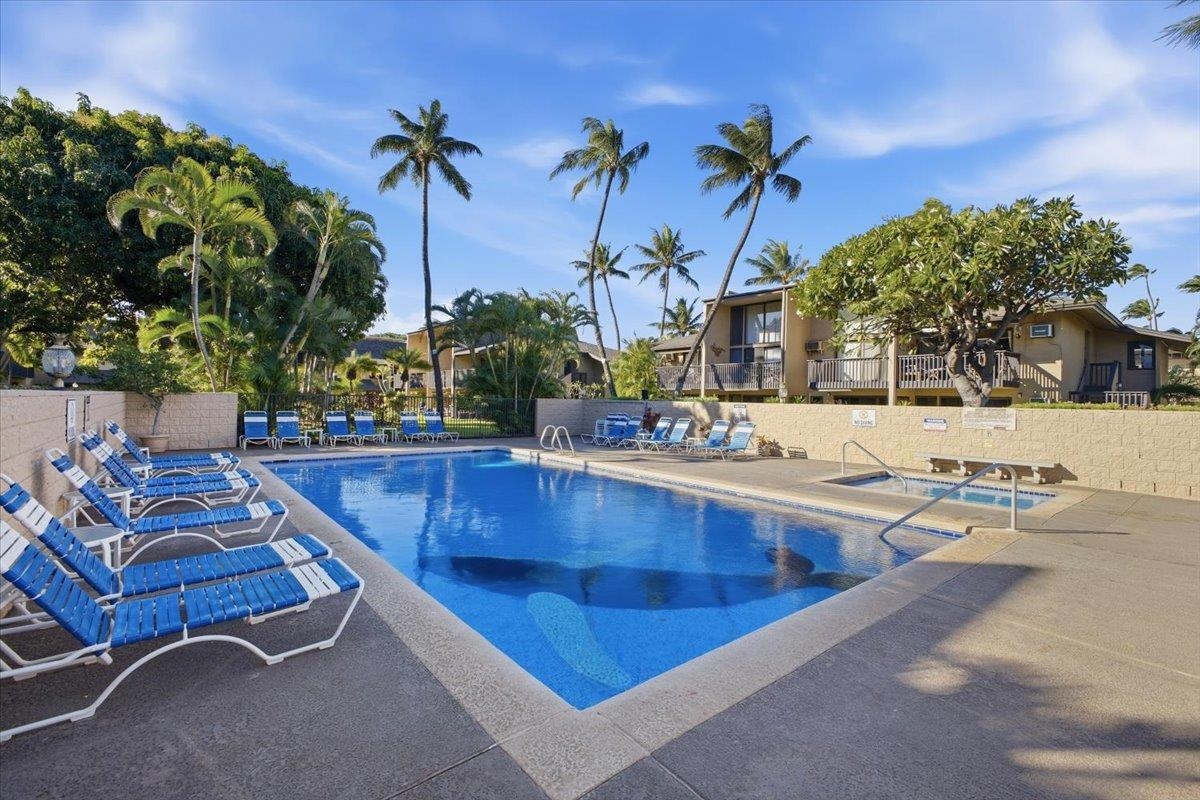 1299 Uluniu Road, Unit 201B Kihei, HI 96753 - Photo 28 of 42